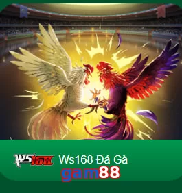 gam88